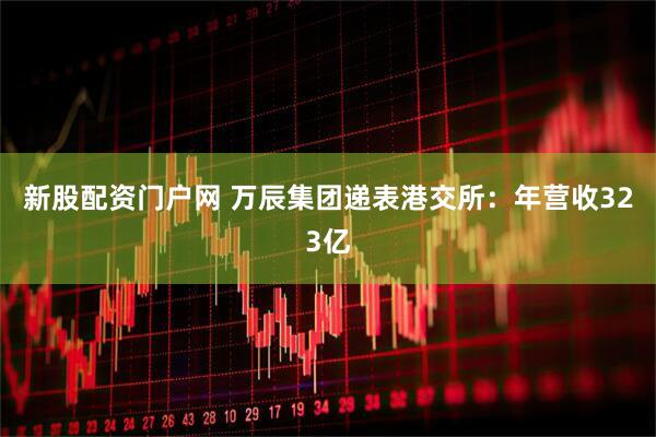 新股配资门户网 万辰集团递表港交所：年营收323亿